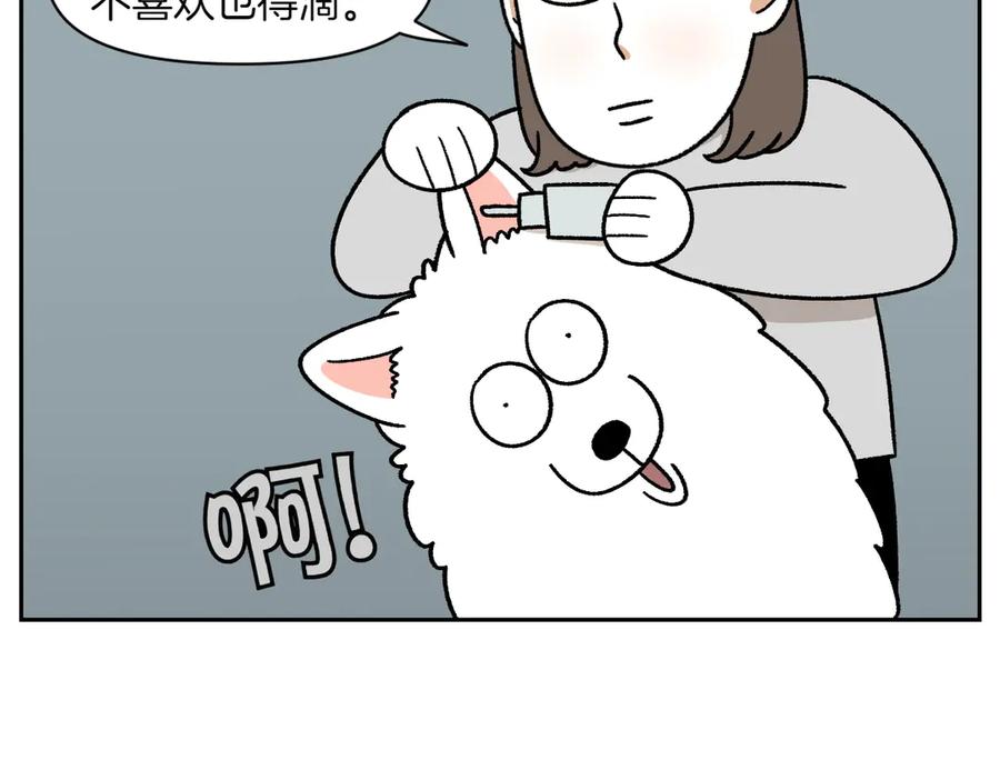 《我的狗子叫棉花》第28话 狗狗药 第18页