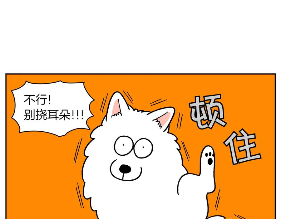 《我的狗子叫棉花》第29话 到底是不是听话狗狗 第27页