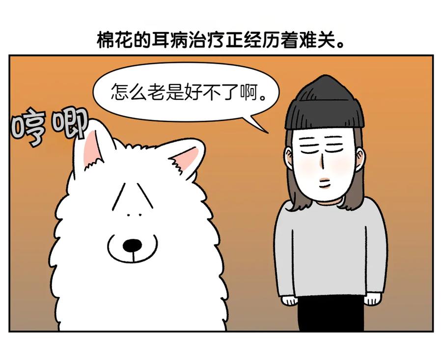 《我的狗子叫棉花》第29话 到底是不是听话狗狗 第5页