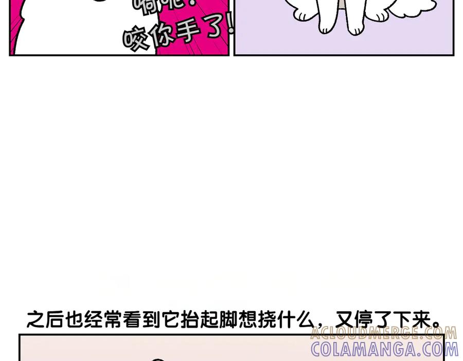 《我的狗子叫棉花》第29话 到底是不是听话狗狗 第31页