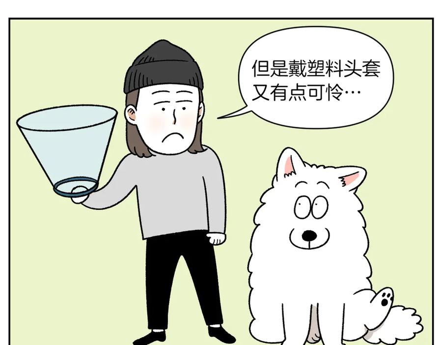 《我的狗子叫棉花》第29话 到底是不是听话狗狗 第20页