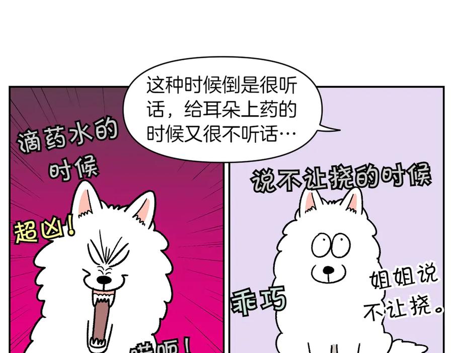 《我的狗子叫棉花》第29话 到底是不是听话狗狗 第30页