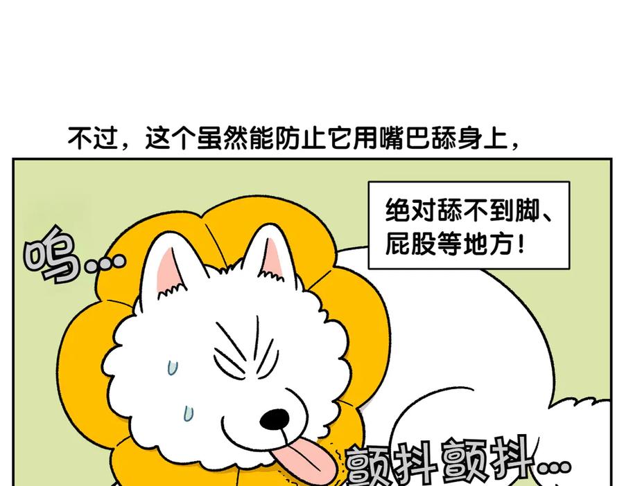 《我的狗子叫棉花》第29话 到底是不是听话狗狗 第17页