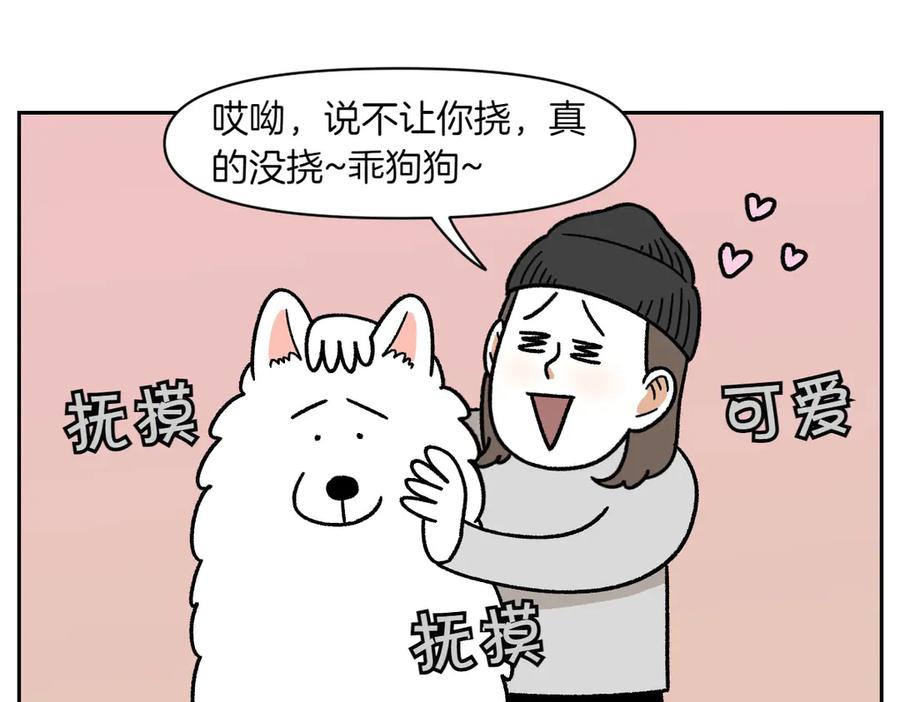 《我的狗子叫棉花》第29话 到底是不是听话狗狗 第35页