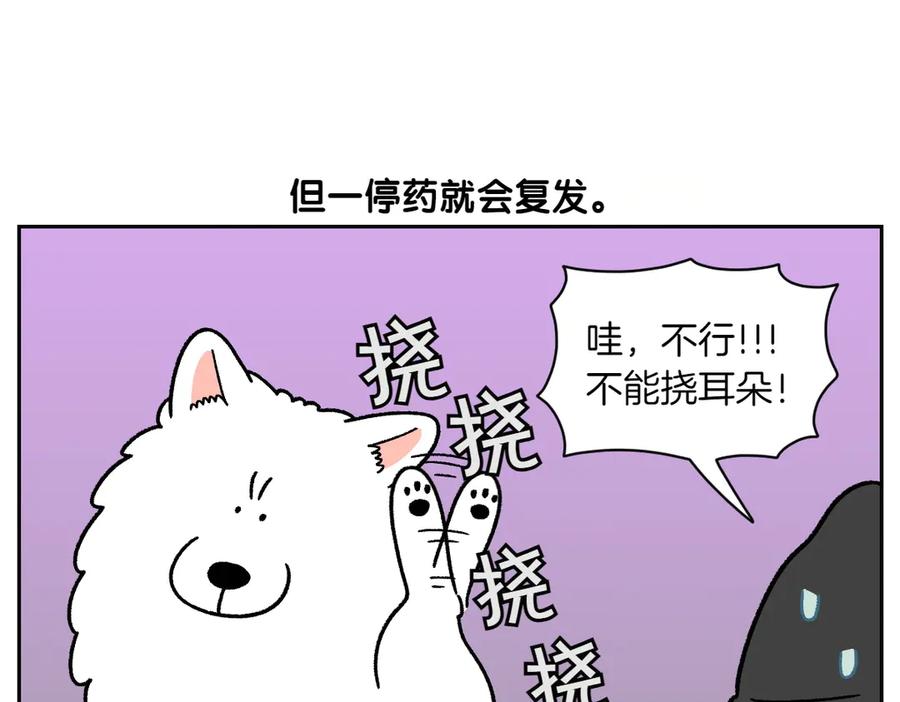 《我的狗子叫棉花》第29话 到底是不是听话狗狗 第9页