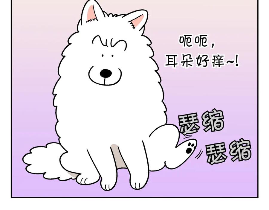 《我的狗子叫棉花》第29话 到底是不是听话狗狗 第32页
