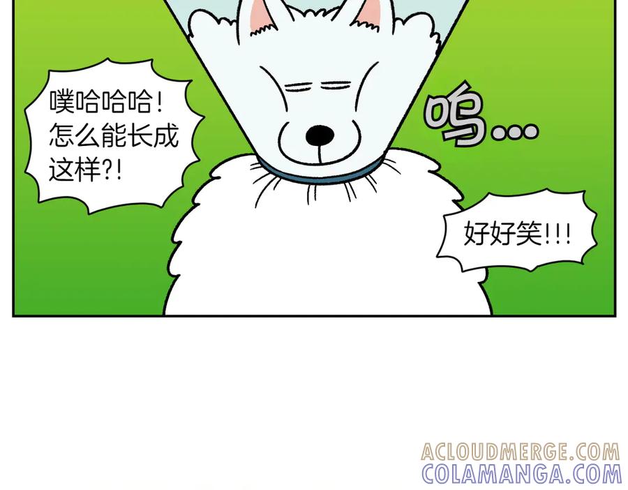 《我的狗子叫棉花》第29话 到底是不是听话狗狗 第13页