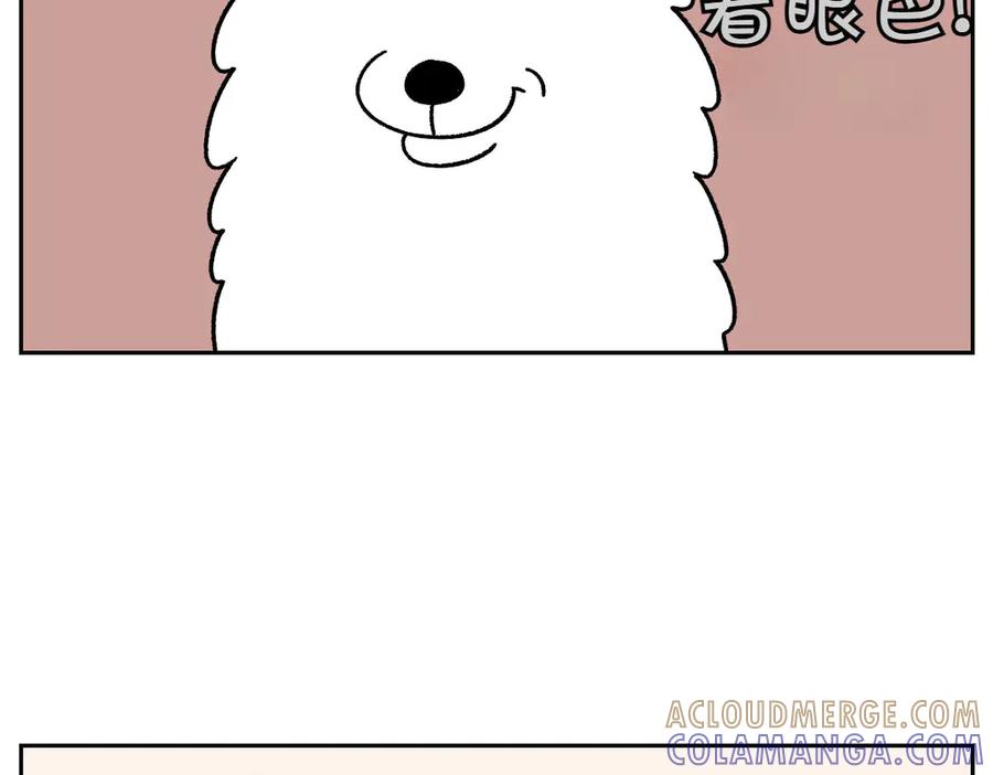 《我的狗子叫棉花》第29话 到底是不是听话狗狗 第37页
