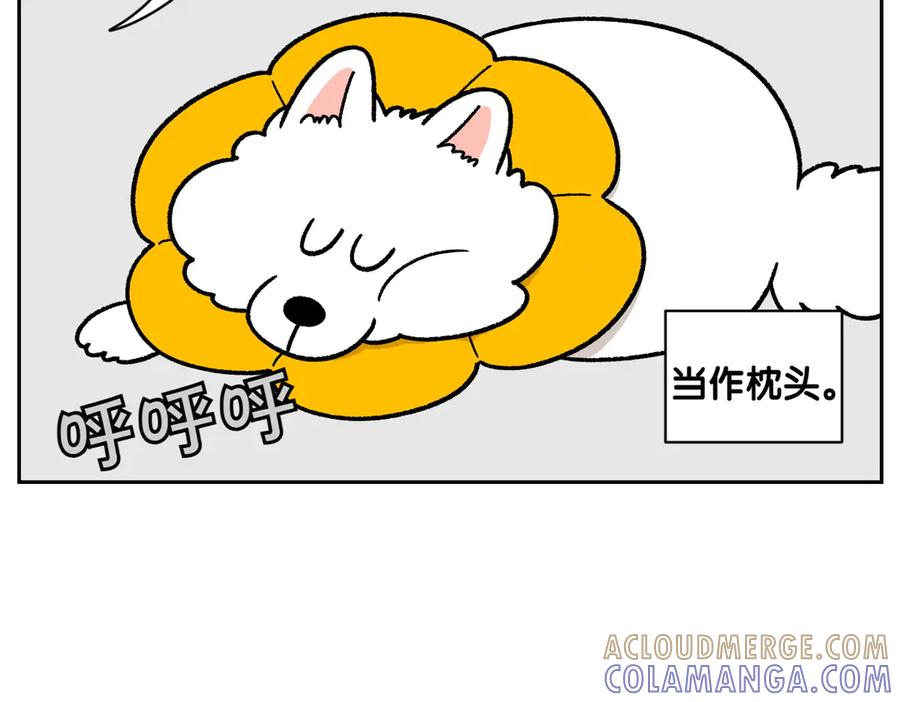 《我的狗子叫棉花》第29话 到底是不是听话狗狗 第16页