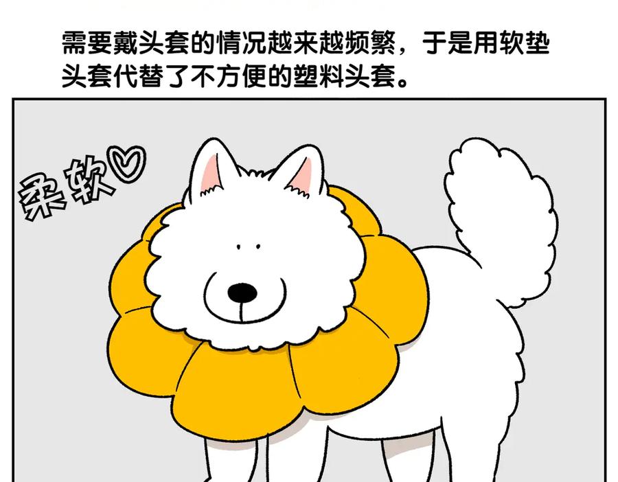《我的狗子叫棉花》第29话 到底是不是听话狗狗 第14页