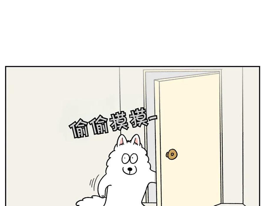 《我的狗子叫棉花》第29话 到底是不是听话狗狗 第39页