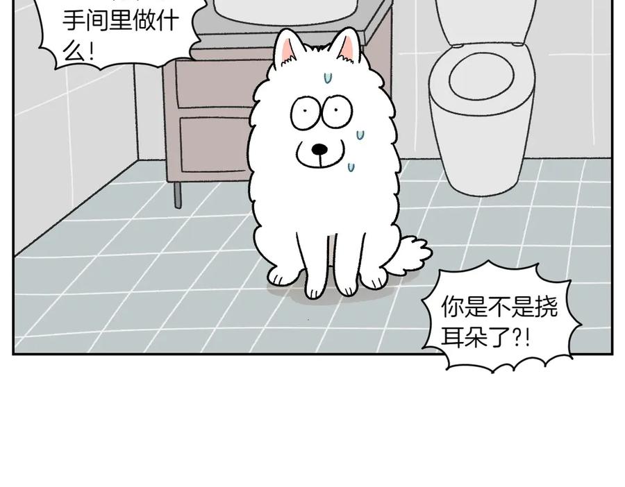 《我的狗子叫棉花》第29话 到底是不是听话狗狗 第47页