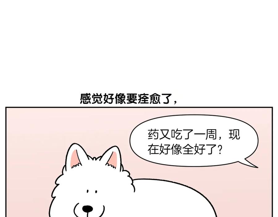 《我的狗子叫棉花》第29话 到底是不是听话狗狗 第6页