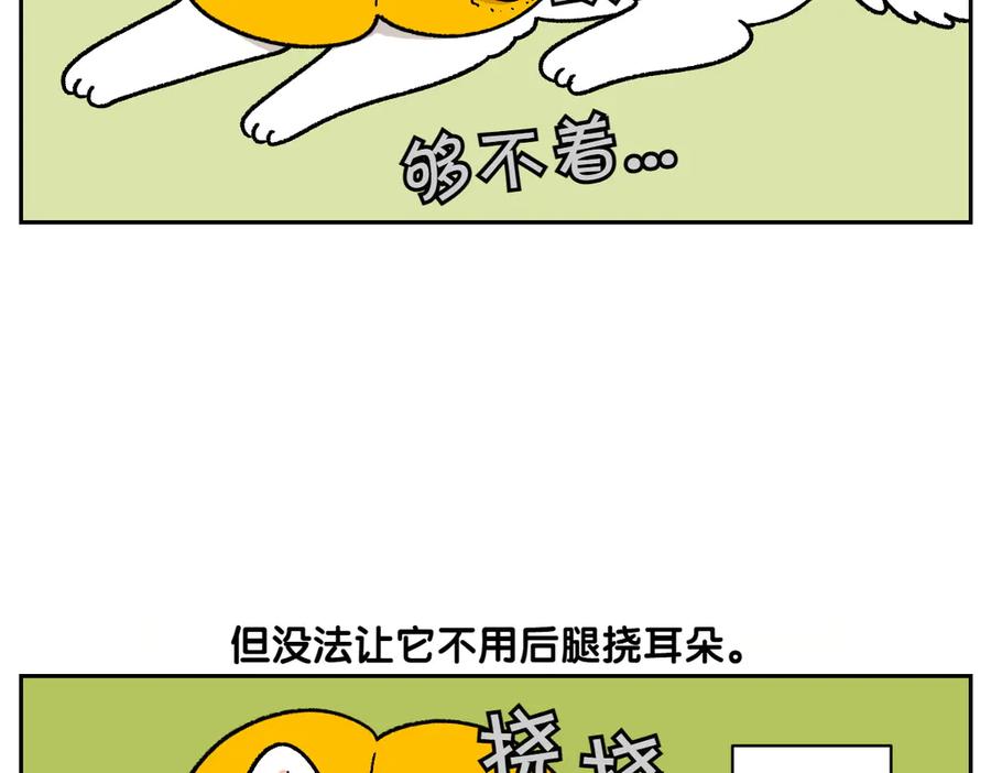 《我的狗子叫棉花》第29话 到底是不是听话狗狗 第18页