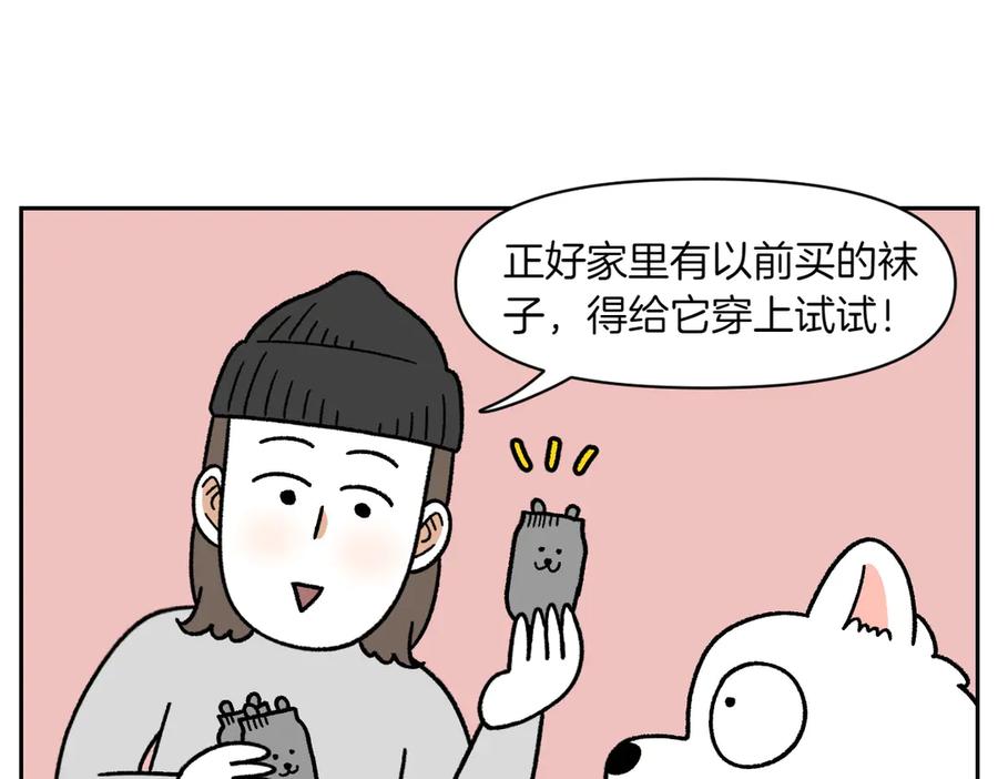 《我的狗子叫棉花》第30话 与耳病斗争 第20页
