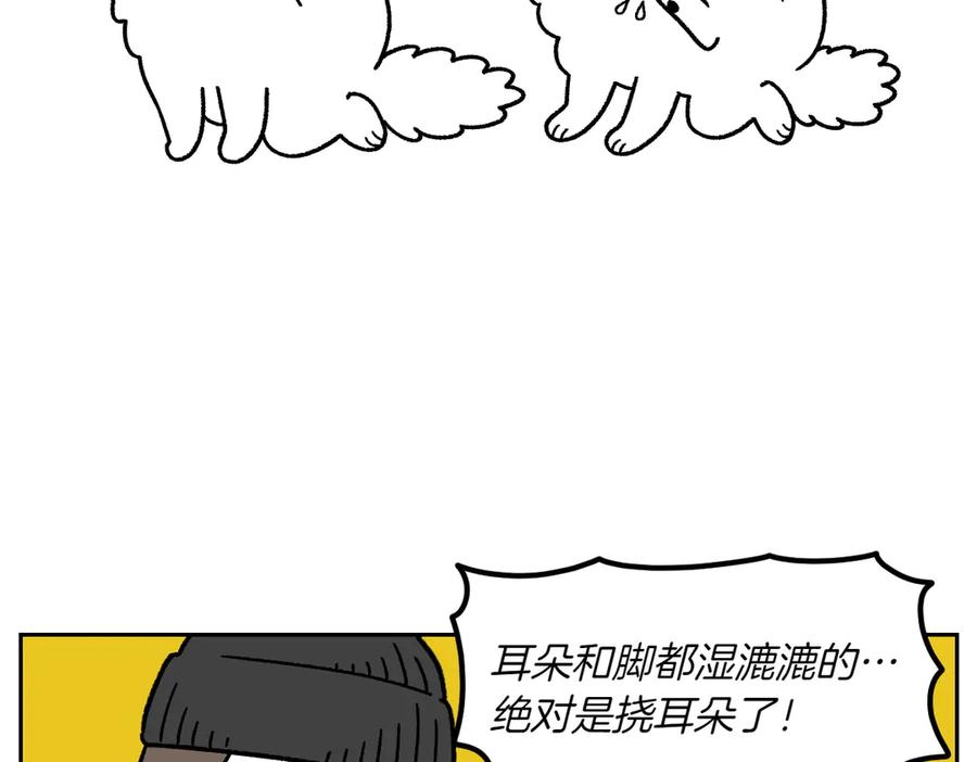 《我的狗子叫棉花》第30话 与耳病斗争 第15页