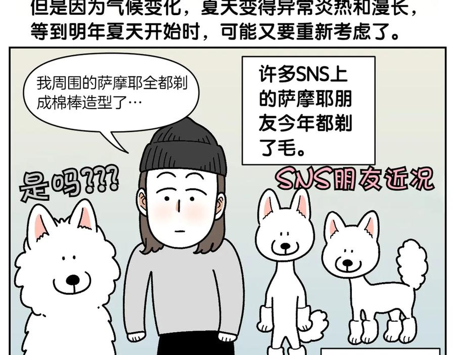 《我的狗子叫棉花》第30话 与耳病斗争 第48页