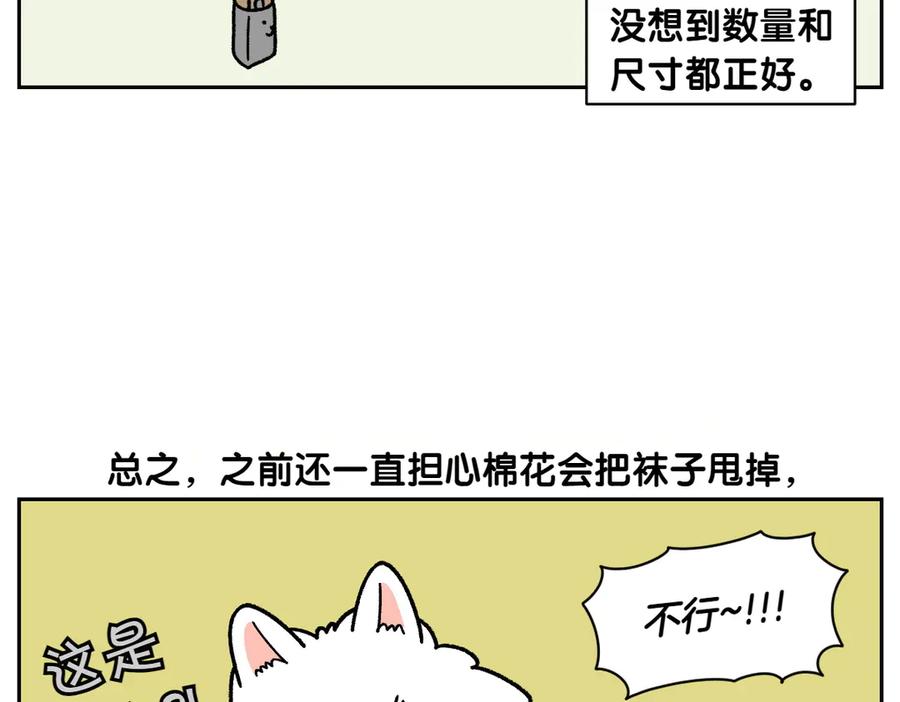 《我的狗子叫棉花》第30话 与耳病斗争 第27页