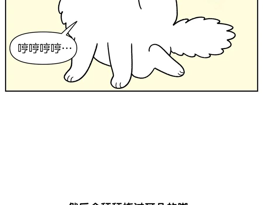 《我的狗子叫棉花》第30话 与耳病斗争 第12页