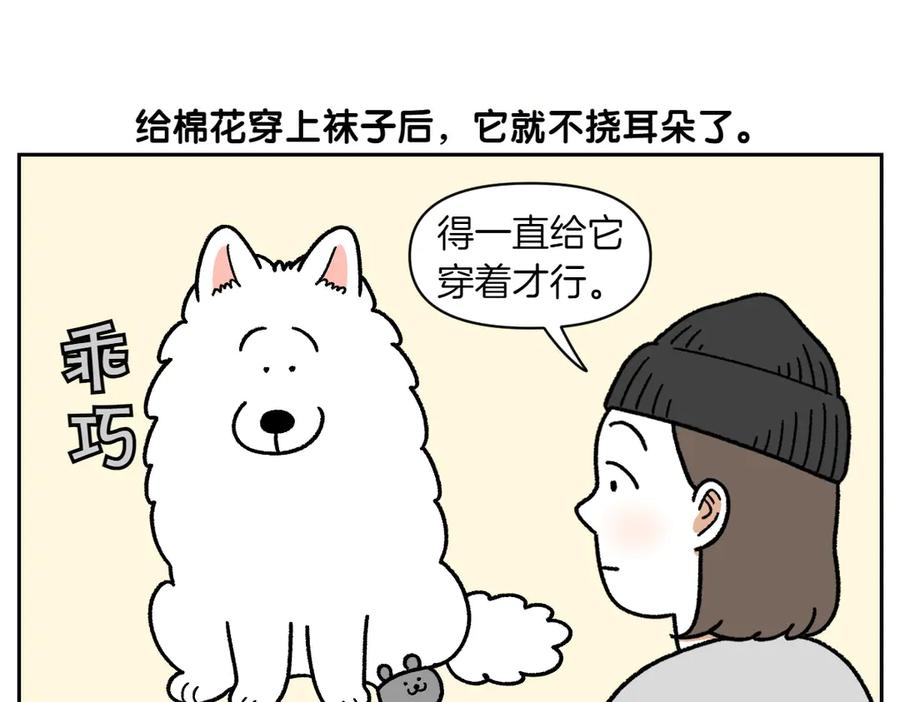 《我的狗子叫棉花》第30话 与耳病斗争 第32页