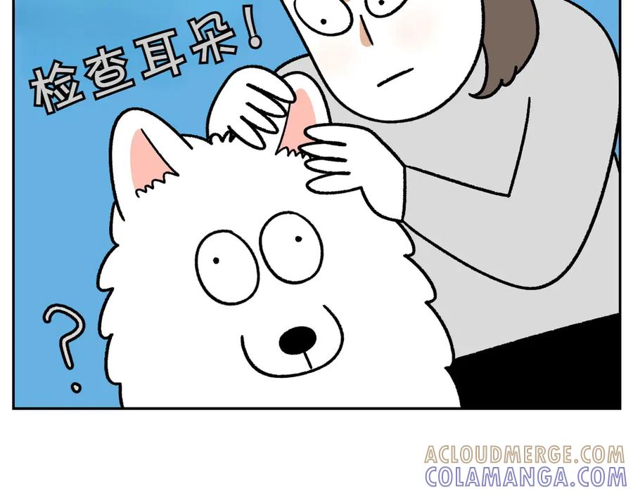 《我的狗子叫棉花》第30话 与耳病斗争 第7页
