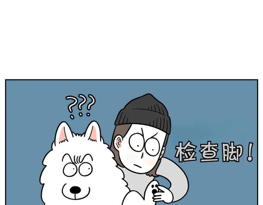 《我的狗子叫棉花》第30话 与耳病斗争 第8页