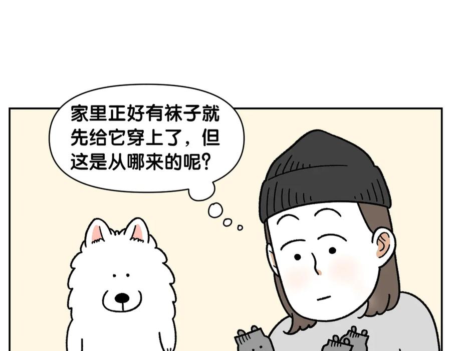 《我的狗子叫棉花》第30话 与耳病斗争 第23页