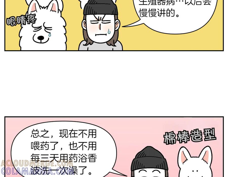 《我的狗子叫棉花》第30话 与耳病斗争 第46页