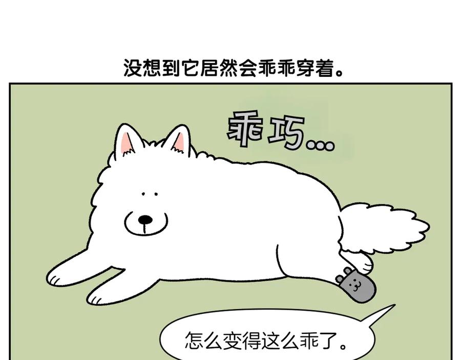 《我的狗子叫棉花》第30话 与耳病斗争 第29页