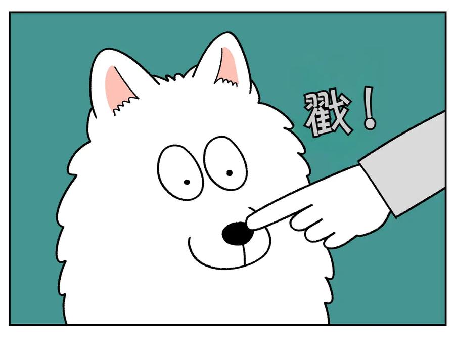 《我的狗子叫棉花》第31话 捡屎生活 第35页