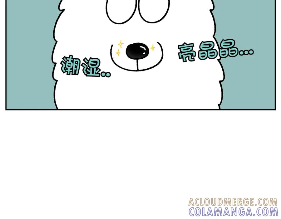 《我的狗子叫棉花》第31话 捡屎生活 第34页