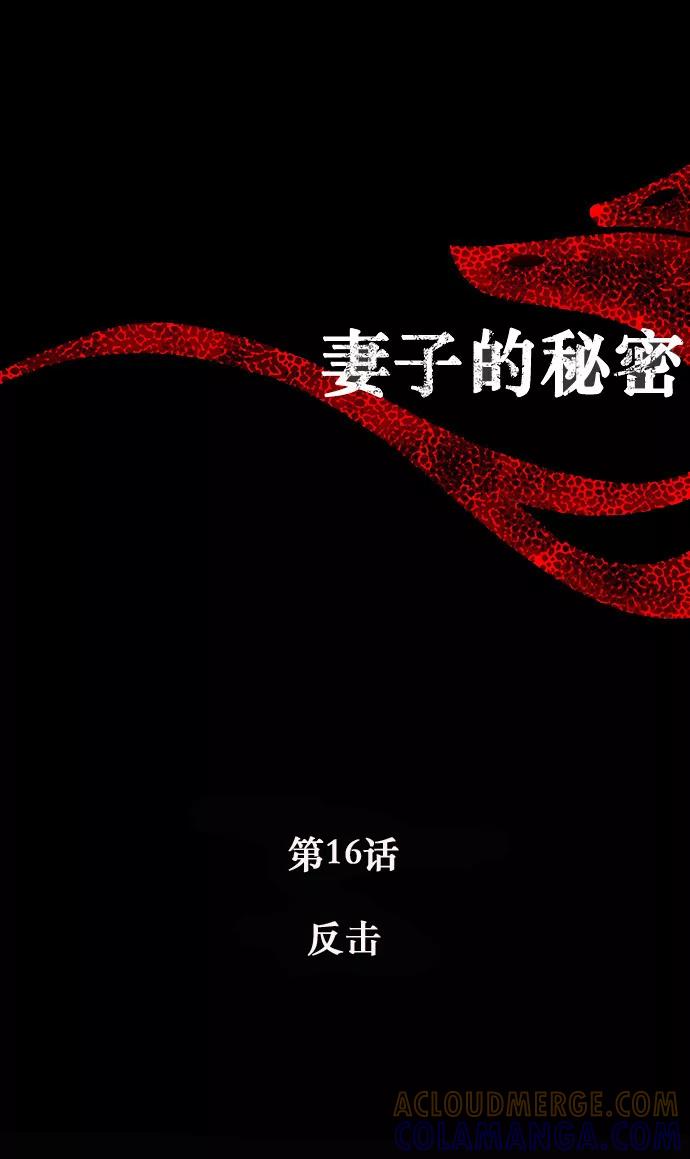 《妻子的秘密》[第16话] 反击 第9页