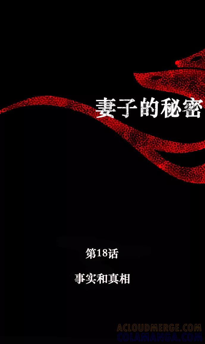 《妻子的秘密》[第18话] 事实和真相 第9页