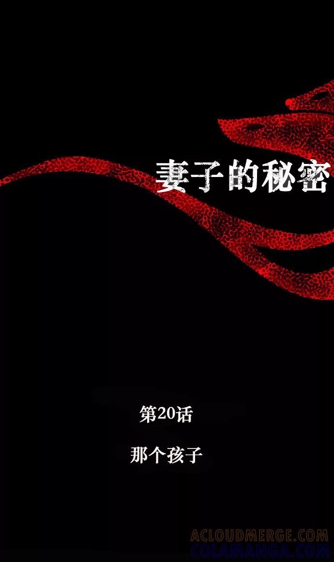 《妻子的秘密》[第20话] 那个孩子 第7页
