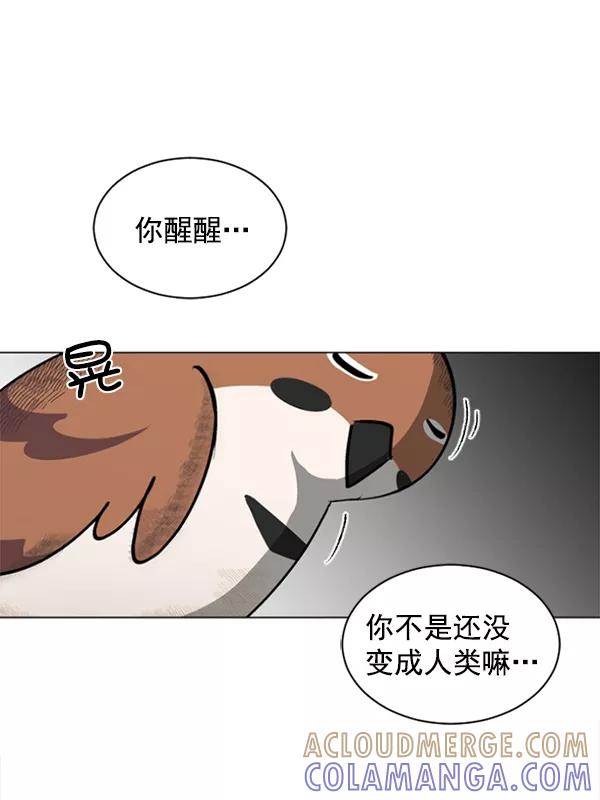 《小麻雀求婚记》第47话 第52页