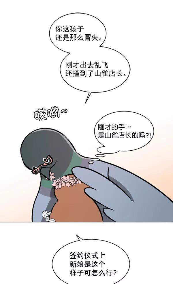 《小麻雀求婚记》第48话 第48页