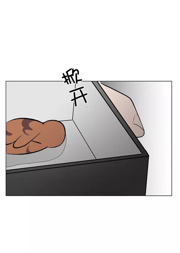 《小麻雀求婚记》第48话 第11页