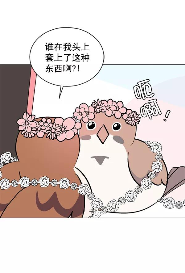 《小麻雀求婚记》第48话 第42页