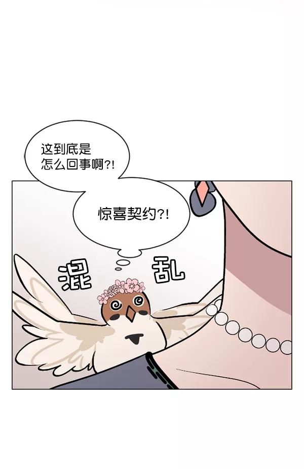 《小麻雀求婚记》第48话 第63页