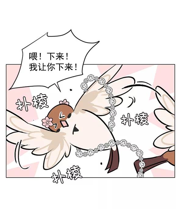 《小麻雀求婚记》第48话 第45页