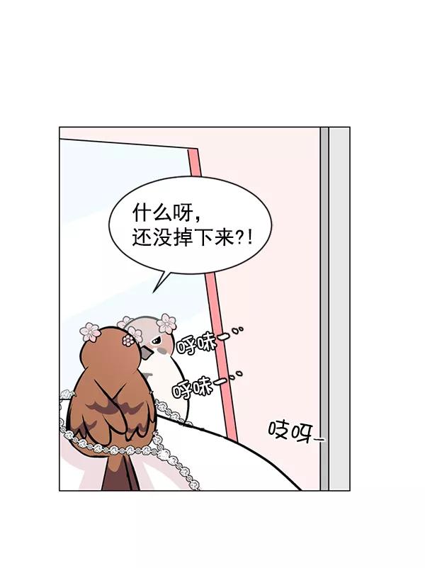 《小麻雀求婚记》第48话 第44页