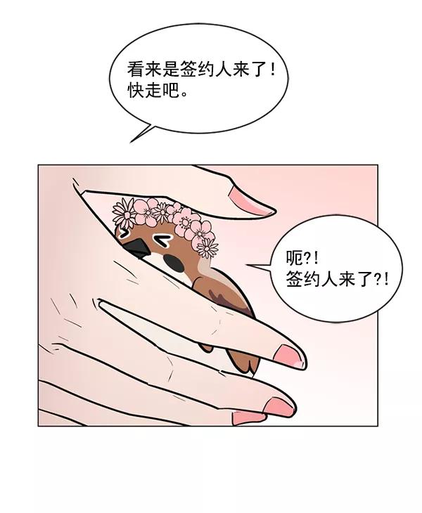 《小麻雀求婚记》第48话 第56页