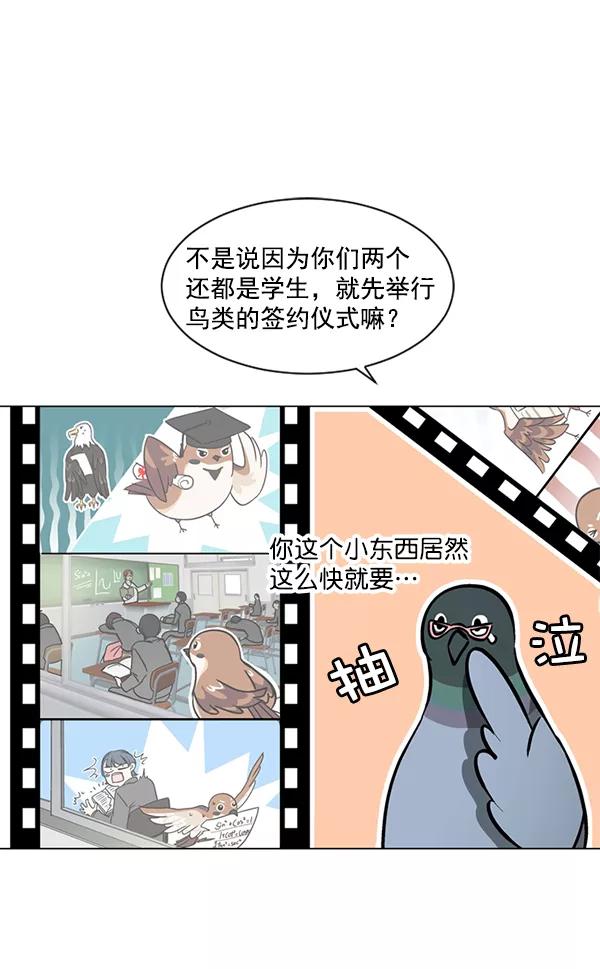 《小麻雀求婚记》第48话 第51页
