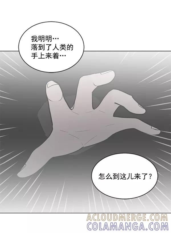 《小麻雀求婚记》第48话 第40页