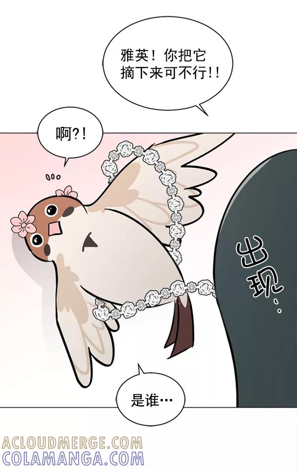 《小麻雀求婚记》第48话 第46页