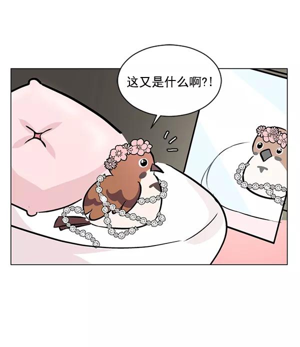 《小麻雀求婚记》第48话 第41页