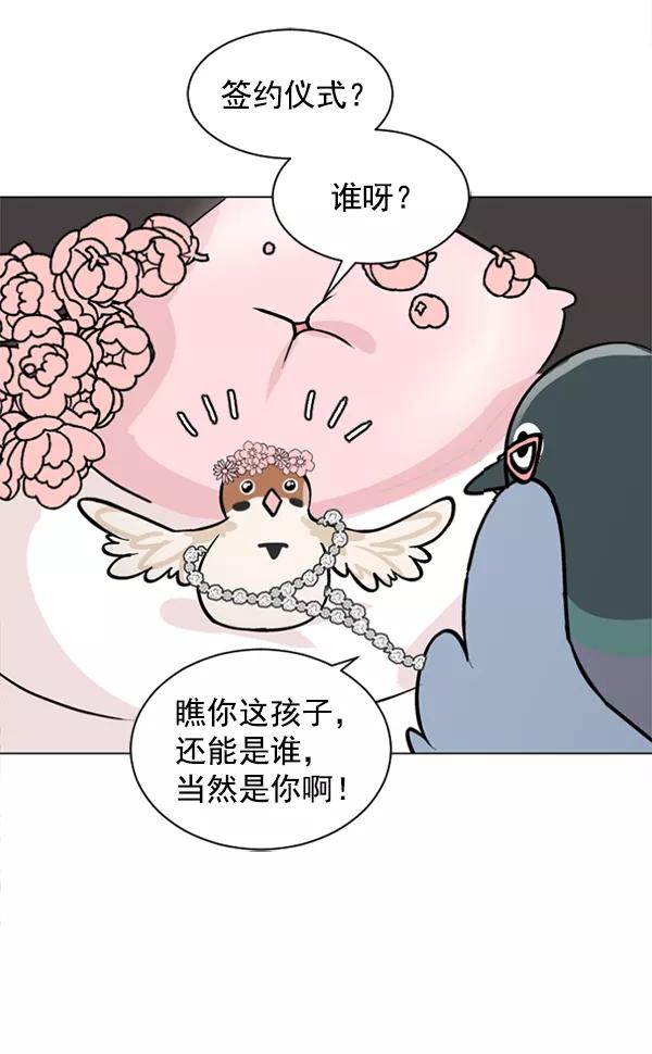 《小麻雀求婚记》第48话 第50页