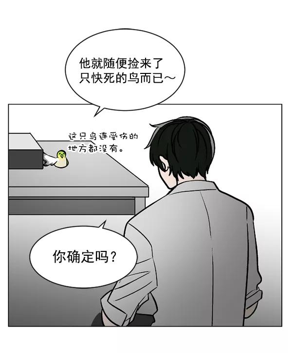 《小麻雀求婚记》第48话 第17页