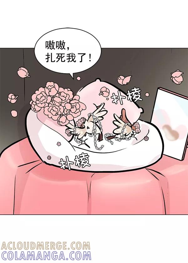 《小麻雀求婚记》第48话 第43页