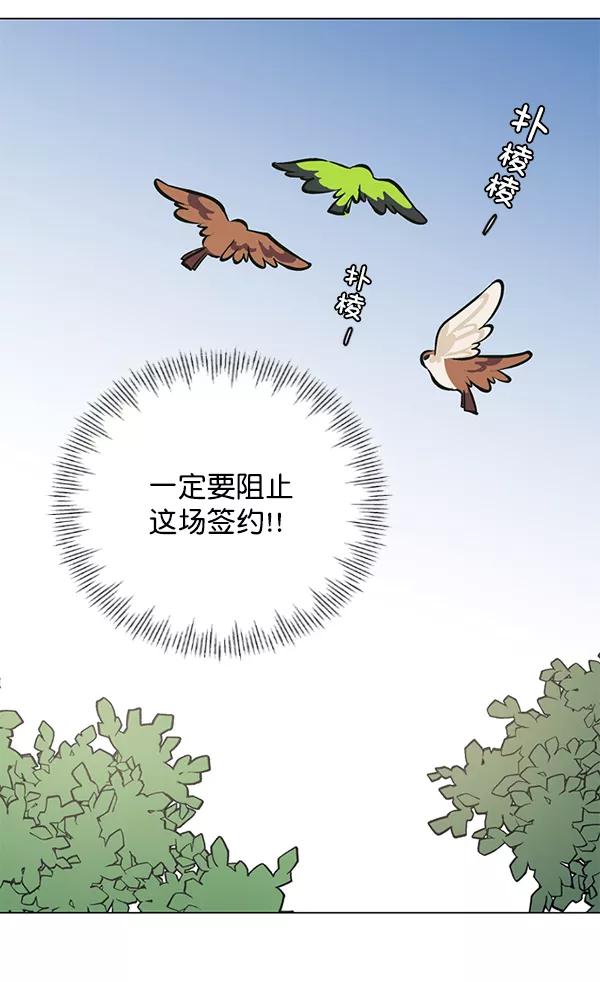 《小麻雀求婚记》第49话 第12页